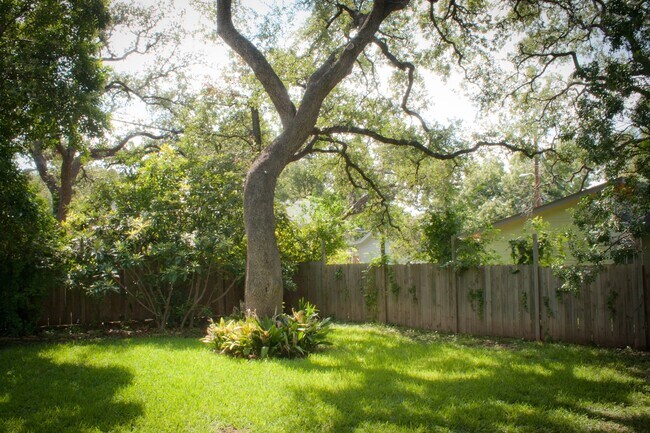 Back yard - 1201 W Oltorf St