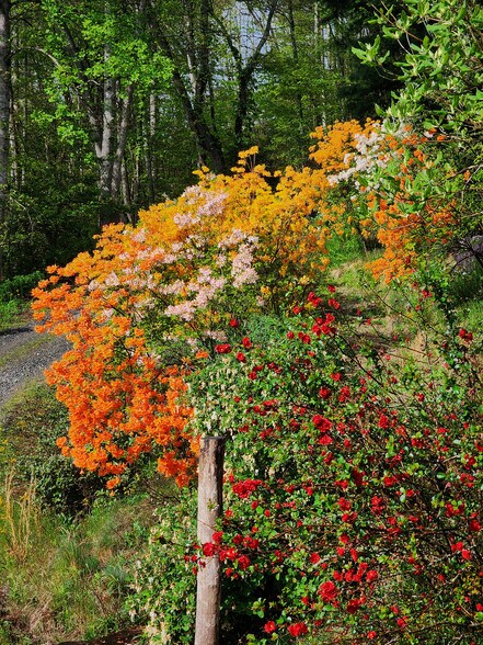 Building Photo - 100 Crab Apple Ln