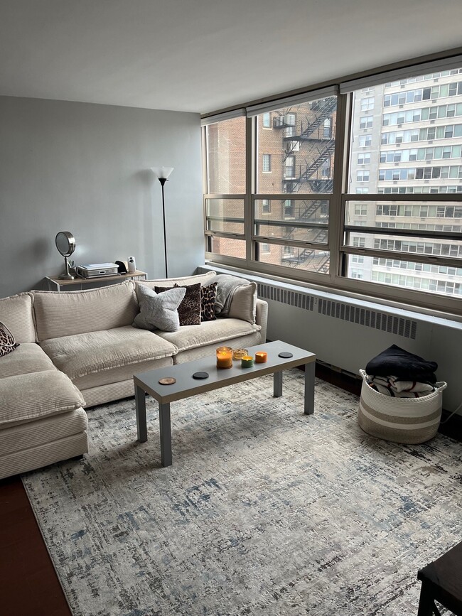 Building Photo - 3950 N Lake Shore Dr