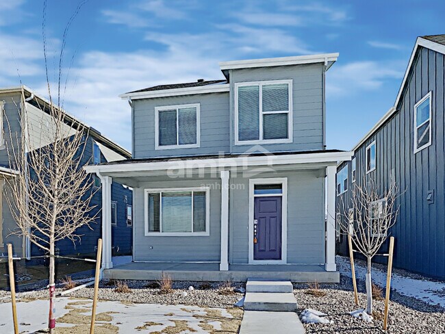 Primary Photo - 4283 Crestone Peak St