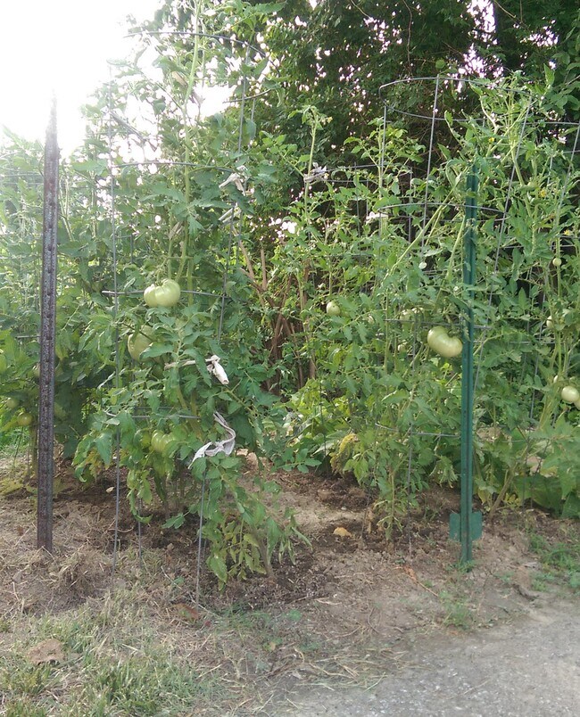 2865 Laclede Station Rd 2865 Laclede Station Rd Maplewood MO 63143