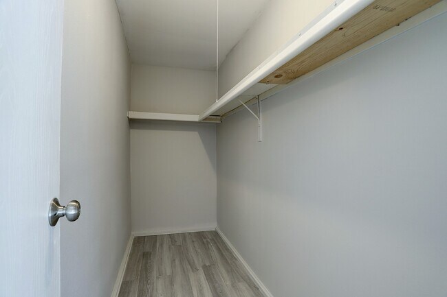 Building Photo - 74 Maple Branch St