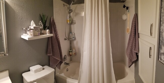 Guest Shower - 857 S Van Gordon Ct