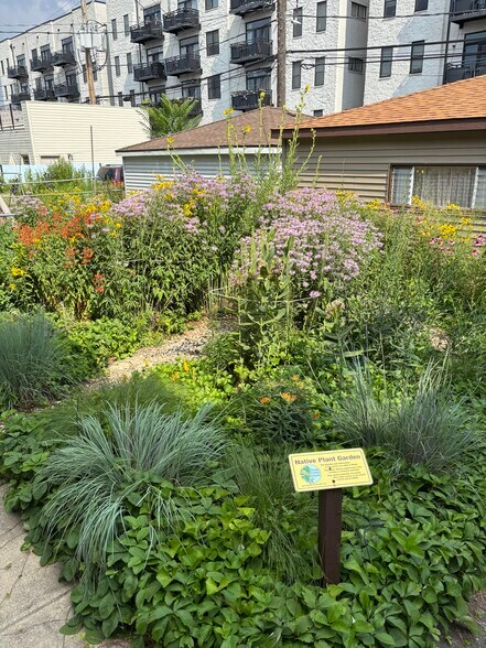 Native Prairie Garden in Yard - 2318 W Diversey Ave