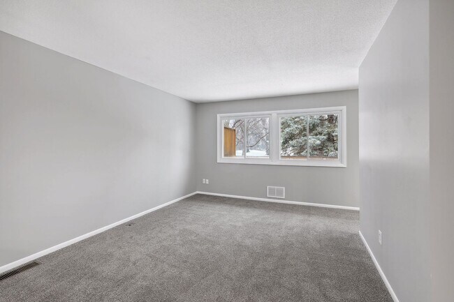 Building Photo - Lovely 4BR 2BA Townhome in Coon Rapids