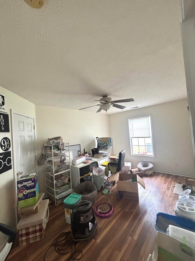 Building Photo - 398 Beryl Dr