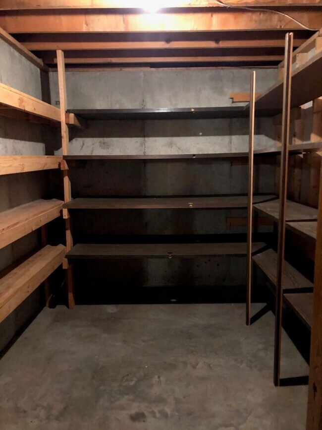 Building Photo - 4Bed/3Bath, Ranch-Style Home in Wooded Area