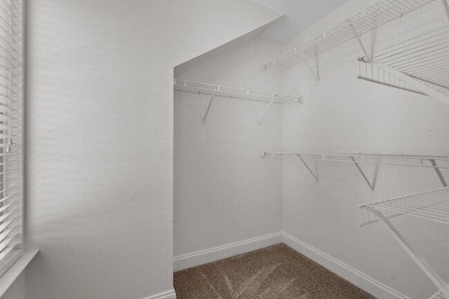 Building Photo - 1112 Woodbury Falls Ct