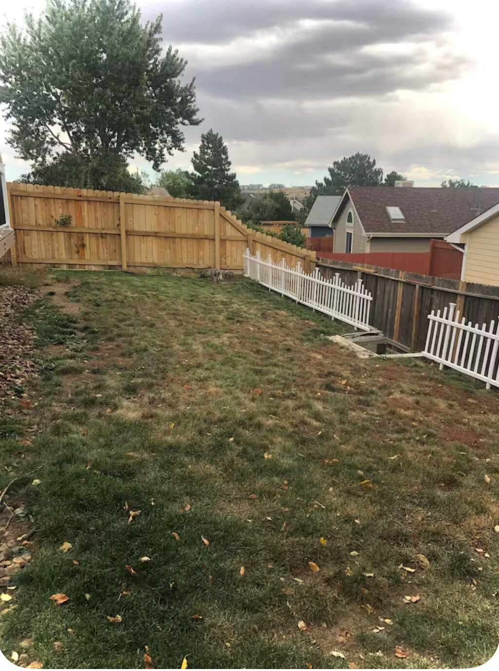 backyard - 8659 Chancellor Dr