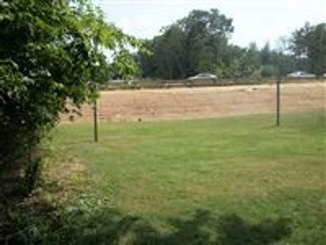 Building Photo - Will go fast! 3 BED house across from Memo...