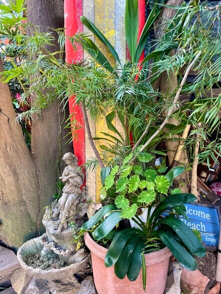 Shared courtyard with four other bungalows - 2918 Pacific Ave