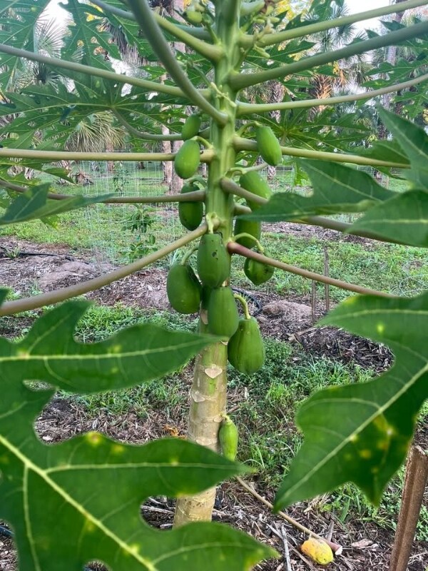 Building Photo - 4320 30th Ave SE