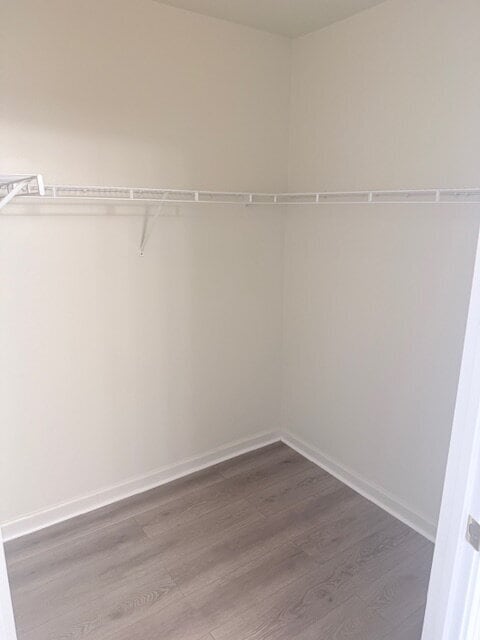 Building Photo - Beautiful Spacious Condo in Midlothian ready for move in!