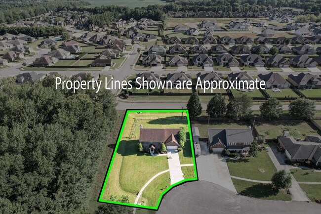 Building Photo - 300 Early Harvest Ct