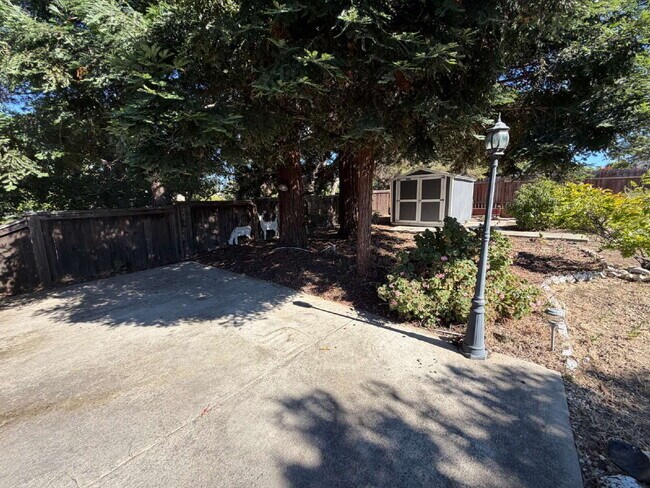 Building Photo - Charming 3-Bedroom Martinez Home with Cozy Fireplace & Spacious Living!