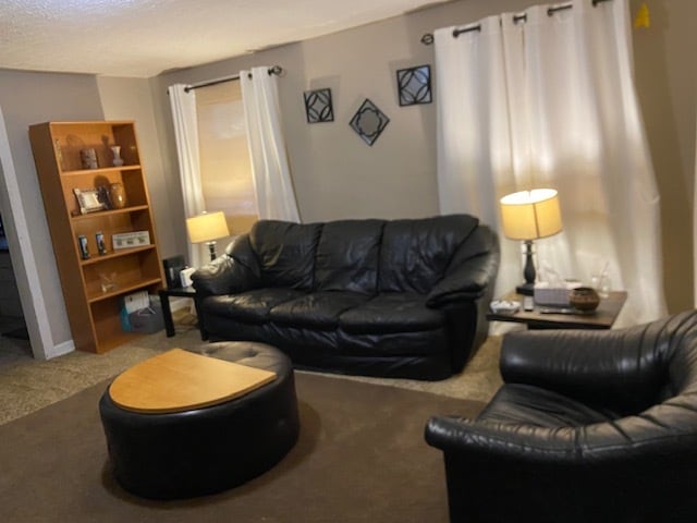 Living room - 2873 White Oak Dr