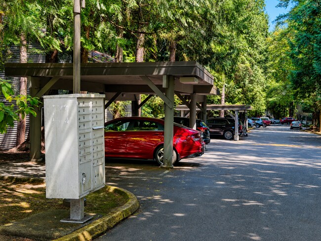 Building Photo - Modern Wooded Condo with Upgraded Kitchen & Private Deck