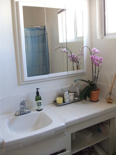 2nd bath, furnished - 110 Brooks Ave