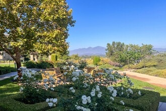 Building Photo - Entertainers Delight in Aliso Viejo!