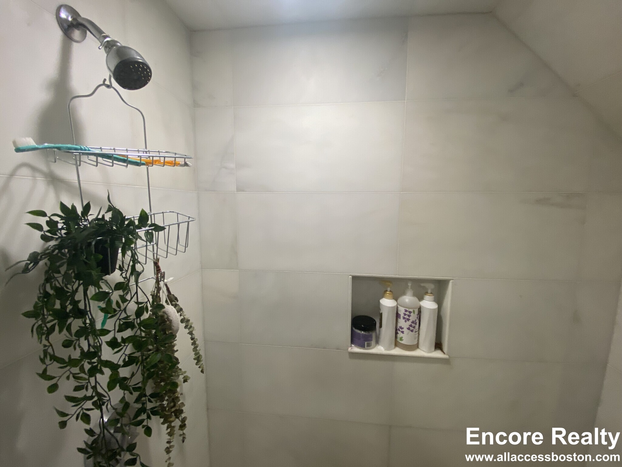 Building Photo - 46 Creighton St