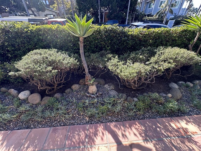 Building Photo - LIVE THE OCEAN BEACH LIFESTYLE!