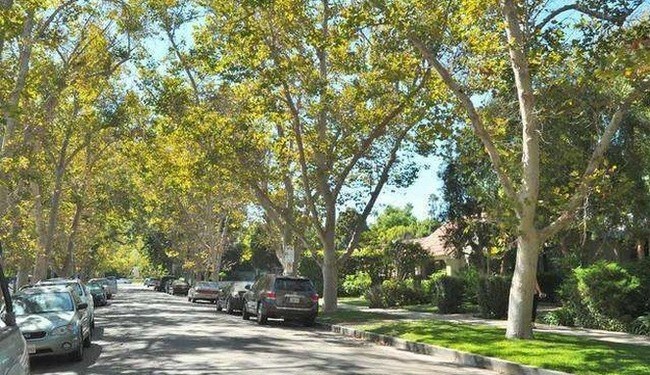 Primary Photo - 12249 Cantura St