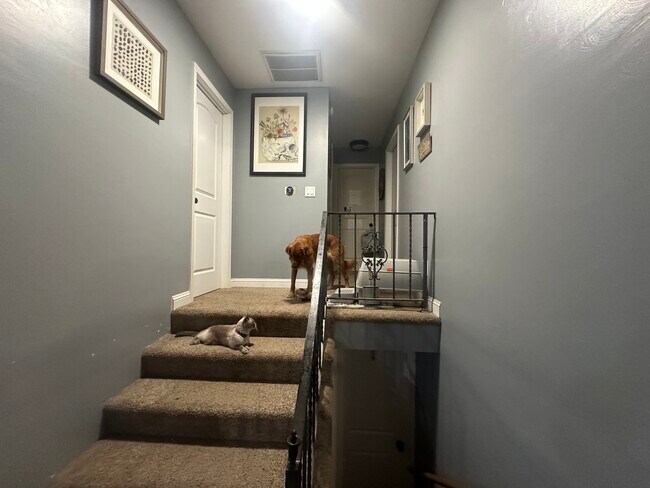 Building Photo - 397 W 4th St