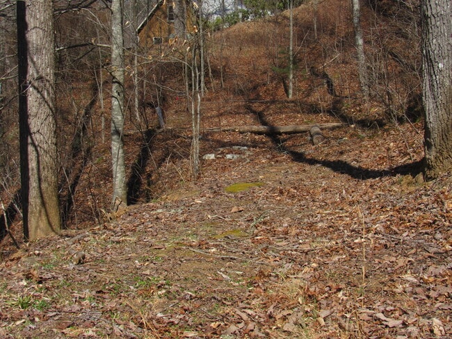 Building Photo - $1,400 - 2 Bedroom / 1 Bath Cabin in Tuckaseegee with Lovely Mountain View