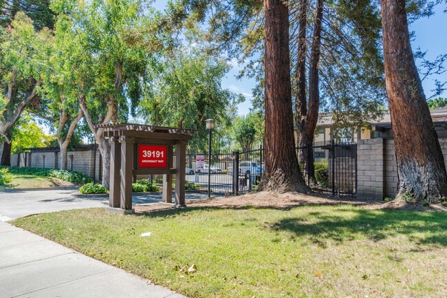 Building Photo - 39191 Argonaut Way
