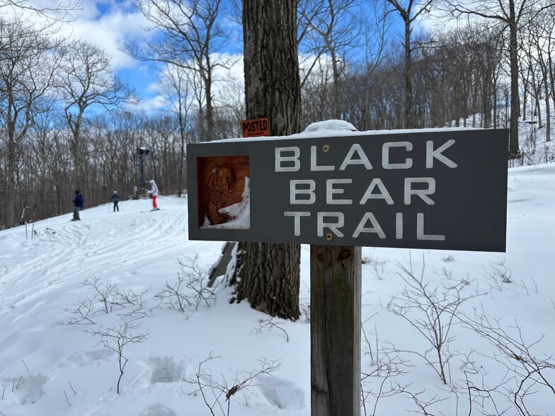 Building Photo - 434 Jack Frost Mountain Rd