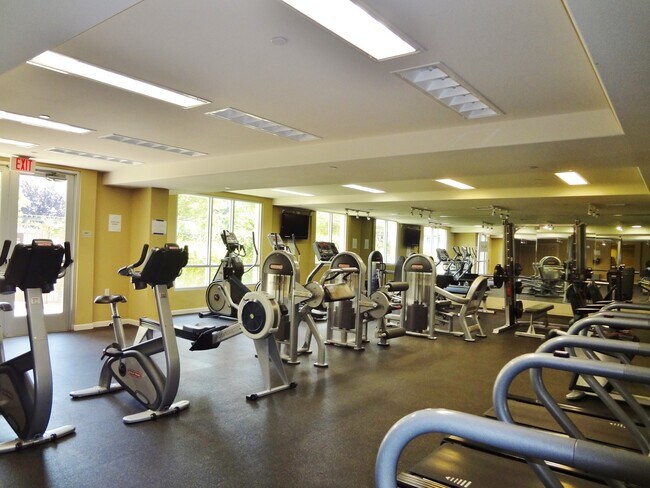 Building Photo - High End Condo on Top floor: High Ceilings...