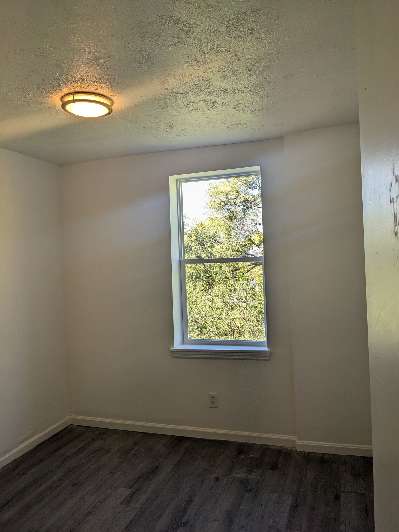 Building Photo - 227 Renner St