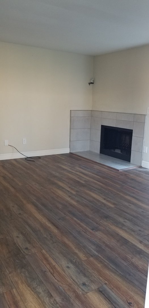 Primary Photo - Condo Available Now