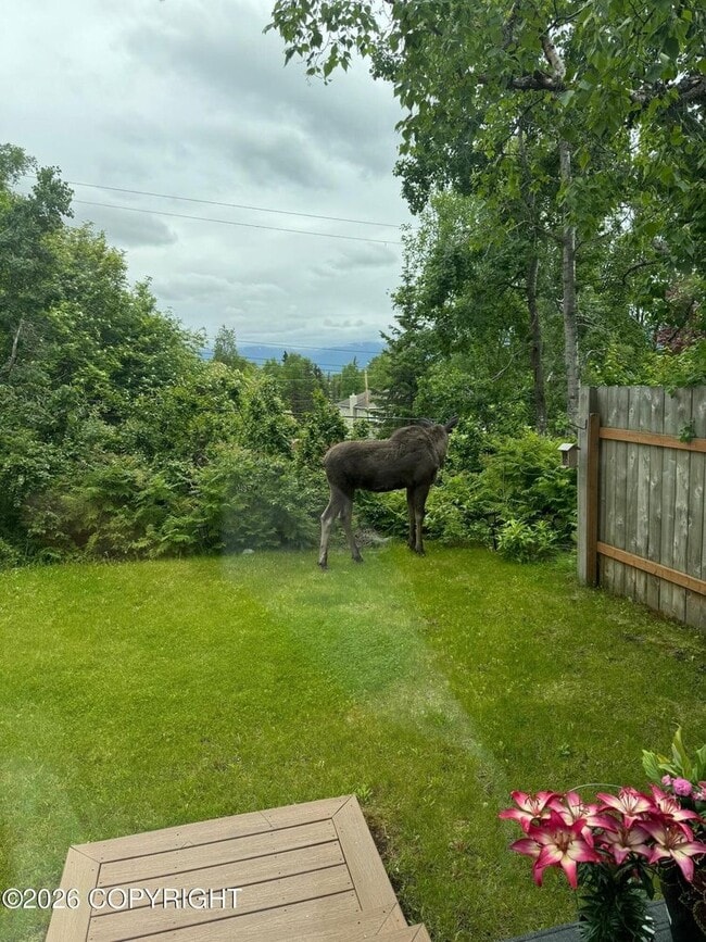 Building Photo - Fully furnished ranch style in downtown Anchorage