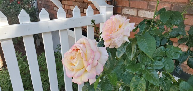 Building Photo - 2057 Heavenly Pl