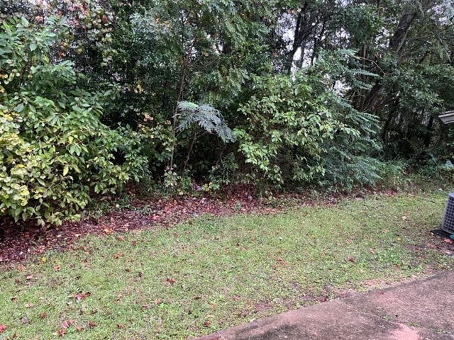 Building Photo - Live Oak Dr. / MDM Properties 1 LLC