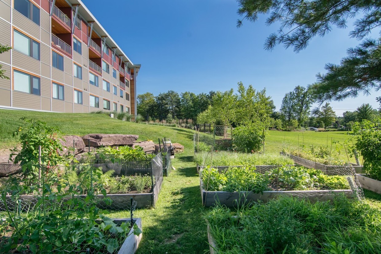 Bartlett Brook Apartments South Burlington Vt Apartment Finder