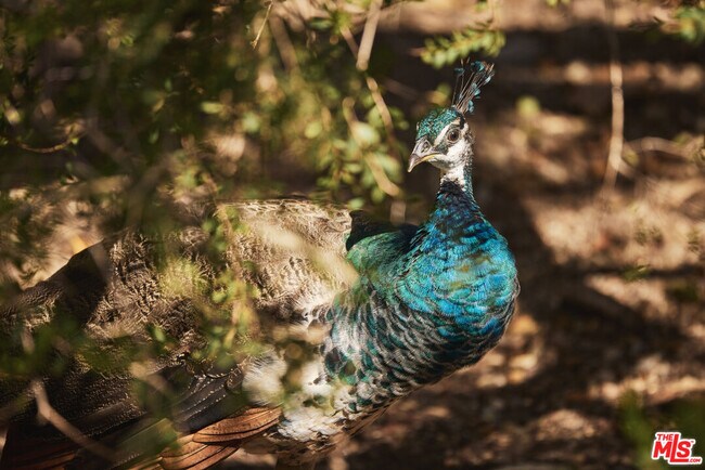 Building Photo - 6715 Fernhill Dr