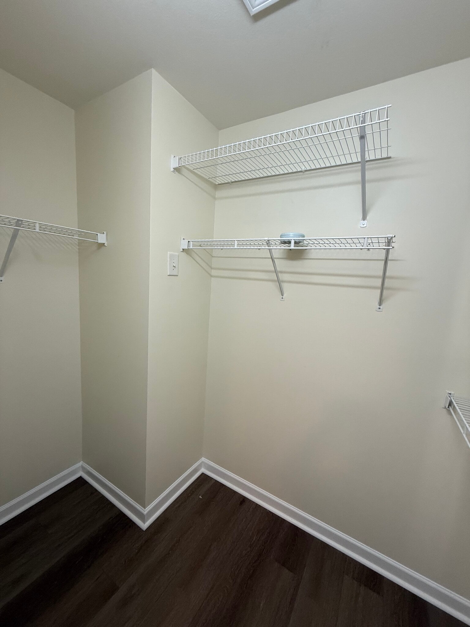 Master walk-in closet - 8253 Belmont Stables Dr