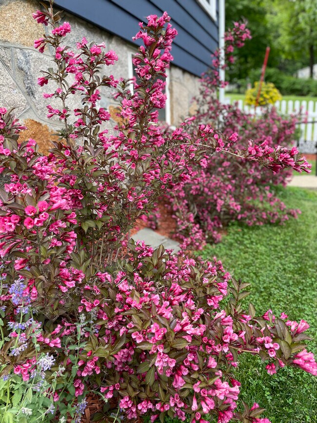 Building Photo - 18 High Ridge Rd