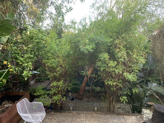 Building Photo - 2026 Holly Hill Ter