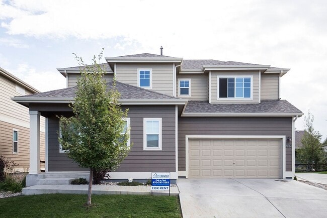 Building Photo - 532 Walhalla Ct