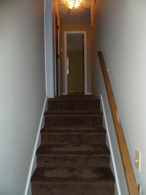 Building Photo - 4268 Cedar Valley Ct