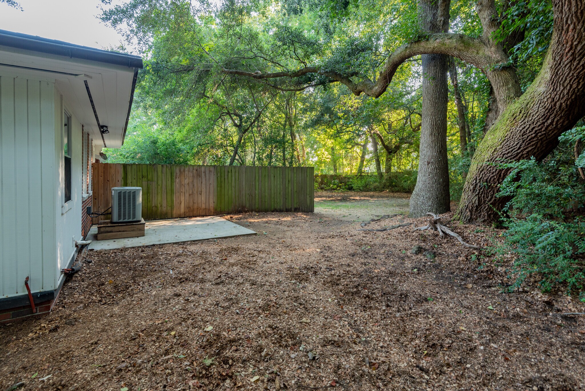 Backyard - 424 Howle Ave