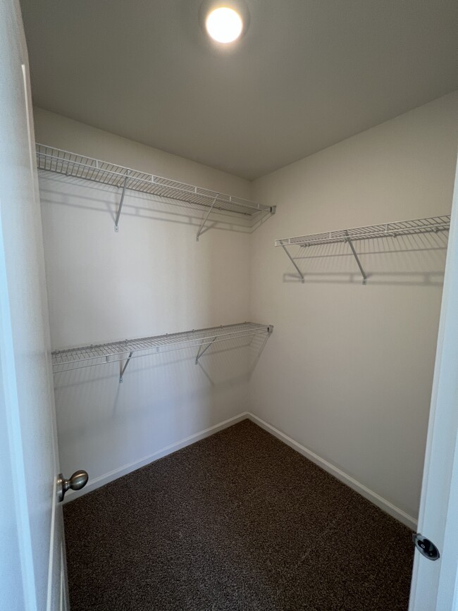 Building Photo - 3837 Currant Ln