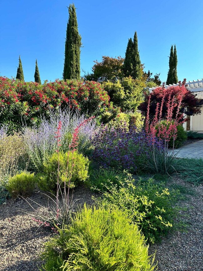 Building Photo - Sonoma 4 Bed 2 Bath Home.