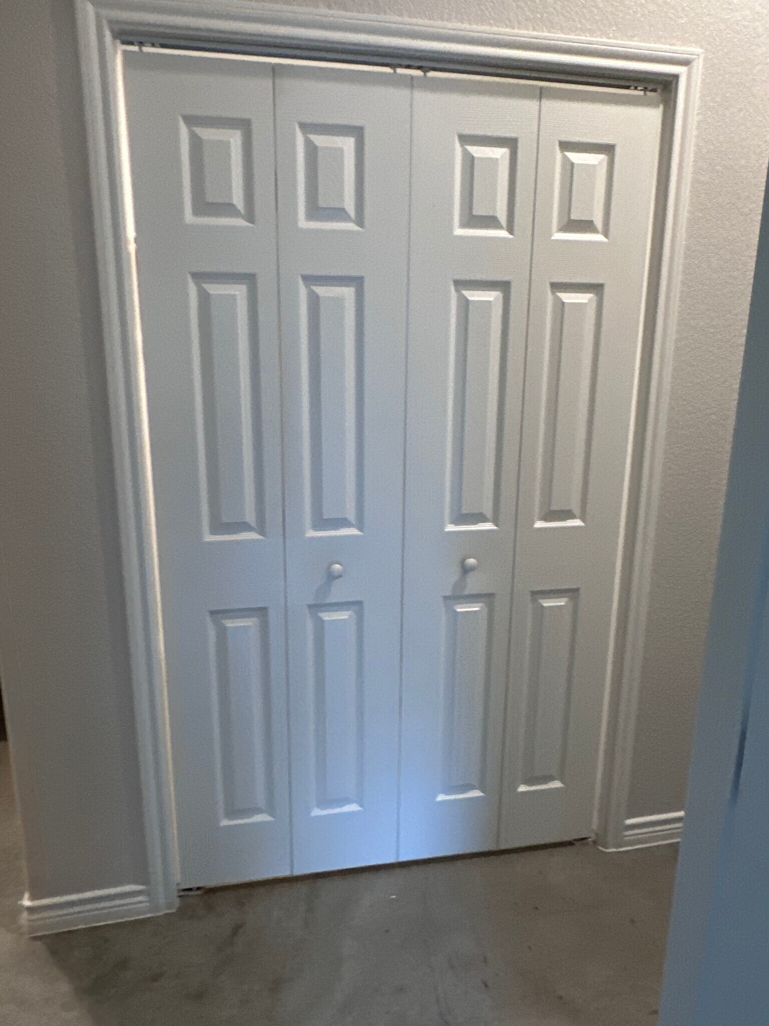 Building Photo - 1239 Liberation Ln