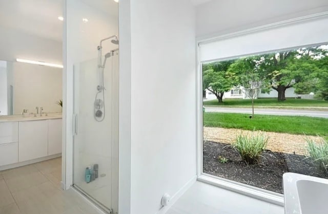 Downstairs bathroom - 269 Sudbury Rd