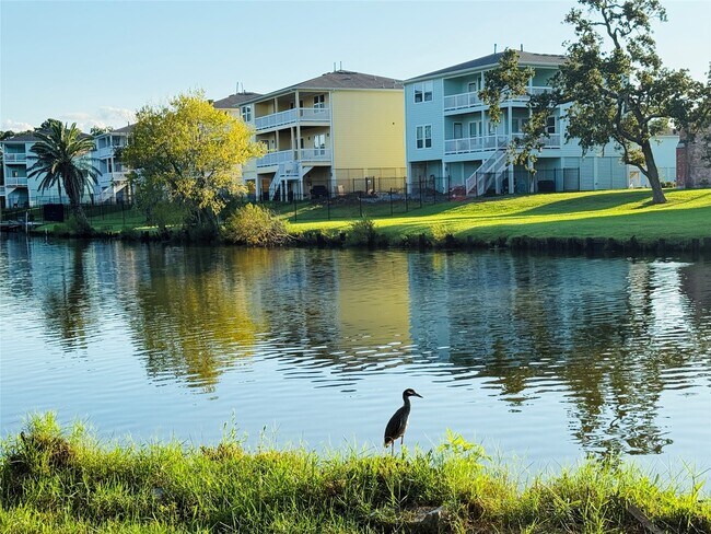 Building Photo - 3936 Wagon Rd