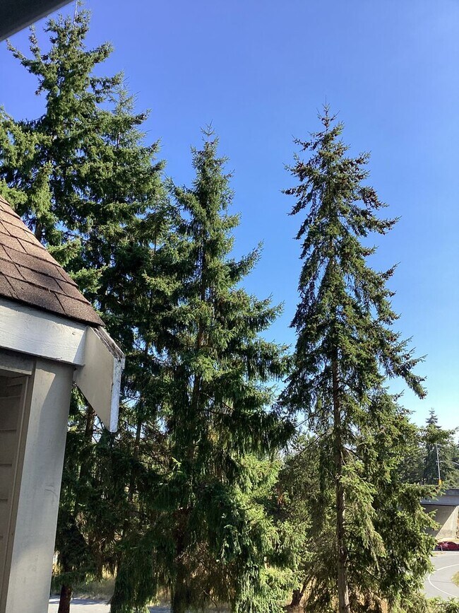 Building Photo - Charming Edmonds Condo with Two Garages and Modern Comforts